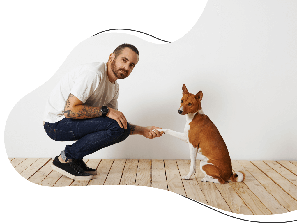 https://www.petmaks.com/wp-content/uploads/2019/08/hero_image_08.png