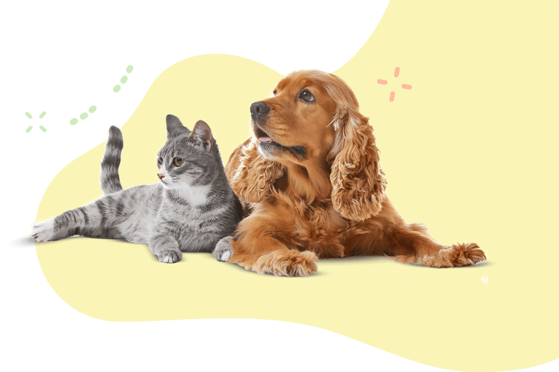 https://www.petmaks.com/wp-content/uploads/2019/08/hero_image_11.png