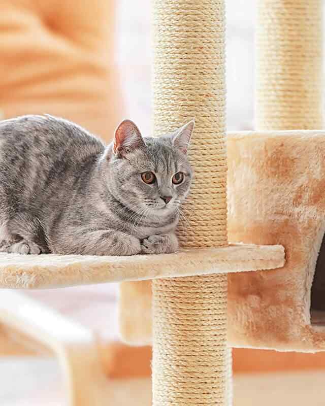 https://www.petmaks.com/wp-content/uploads/2019/08/inner_image_01-640x800.jpg